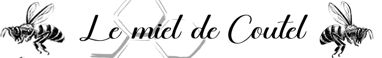 logo main