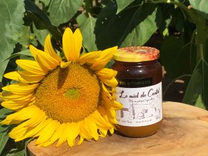 Miel de tournesol – Image 2